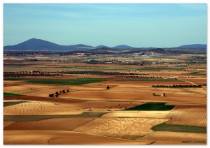 vinas-castilla-mancha
